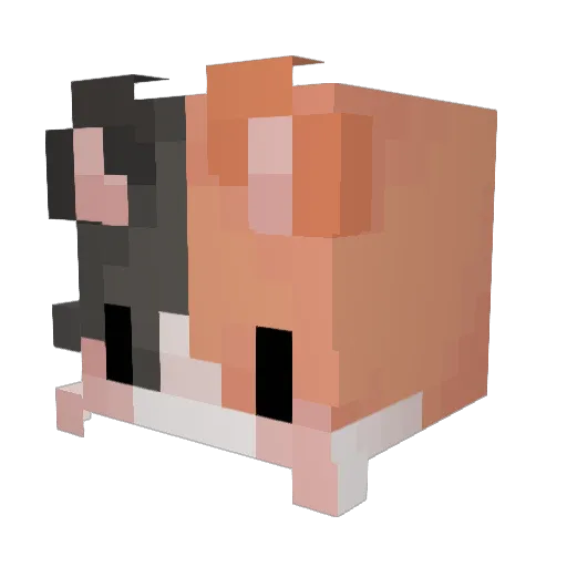 G1K12 Minecraft avatar head, 3D render
