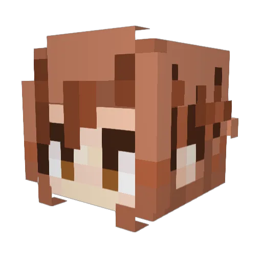 G1lly56 Minecraft avatar head, 3D render