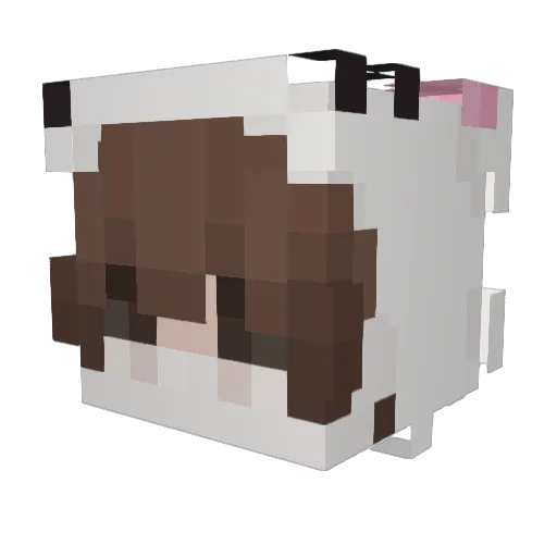 G1o_0 Minecraft avatar head, 3D render