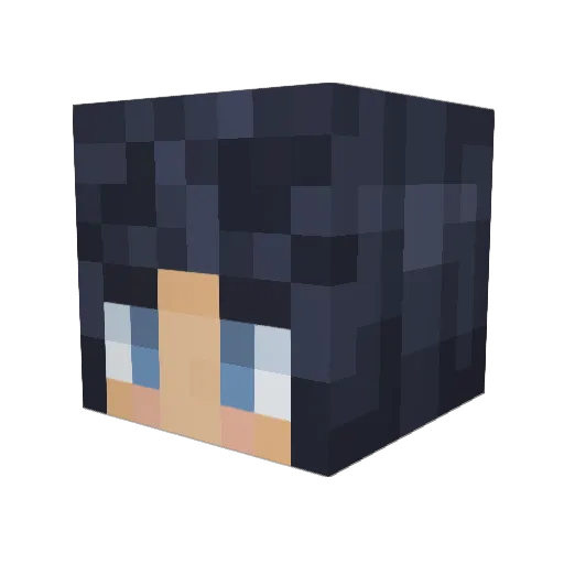 G2_SanLe Minecraft avatar head, 3D render