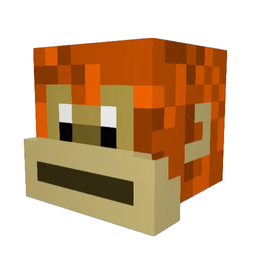 G33kBarForXmas Minecraft avatar head, 3D render