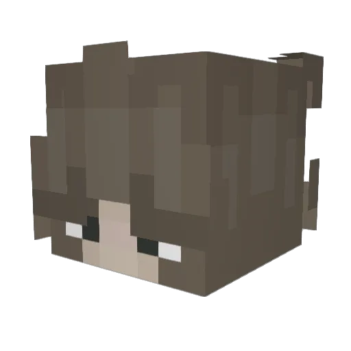 G3L4T1N Minecraft avatar head, 3D render