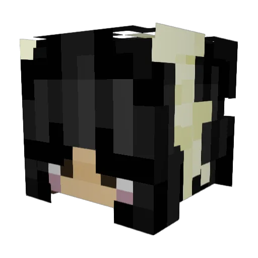 G3NJIl Minecraft avatar head, 3D render