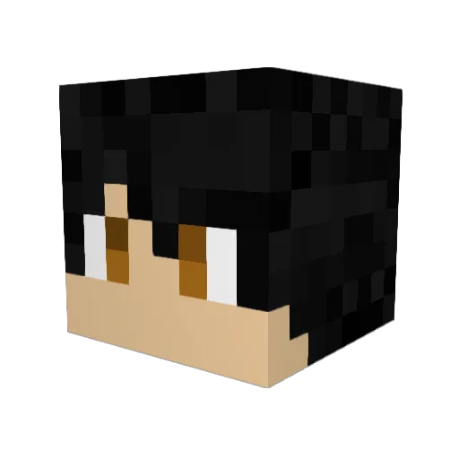 G3R4RD0280 Minecraft avatar head, 3D render