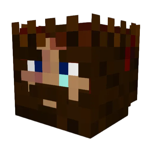 G3T_sKReWd Minecraft avatar head, 3D render