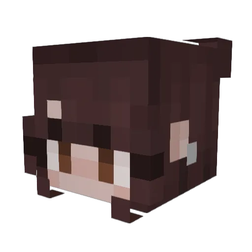 G4LEFORC3 Minecraft avatar head, 3D render