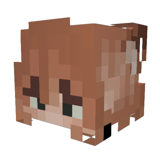 G4yle Minecraft avatar head, 3D render