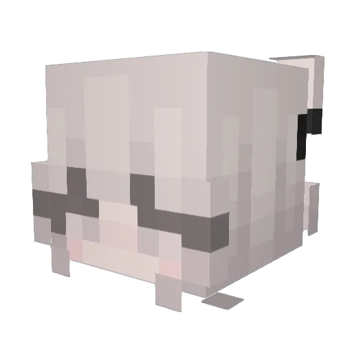 G4yoYoY Minecraft avatar head, 3D render