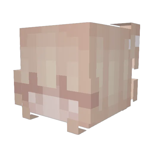 G5O2 Minecraft avatar head, 3D render