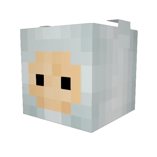 G742 Minecraft avatar head, 3D render
