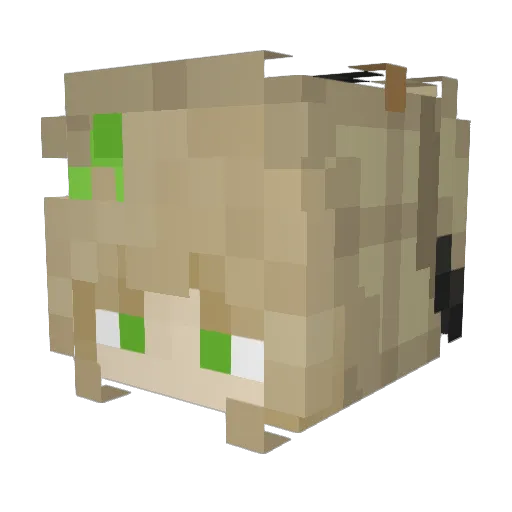 GABz4k Minecraft avatar head, 3D render