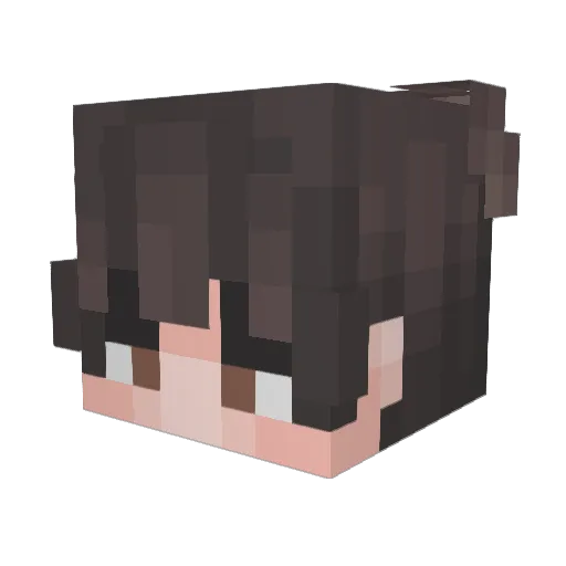 GAELEMILIANO Minecraft avatar head, 3D render