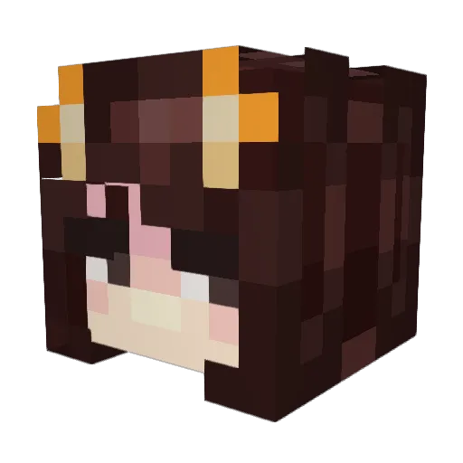 GAELZ_ Minecraft avatar head, 3D render