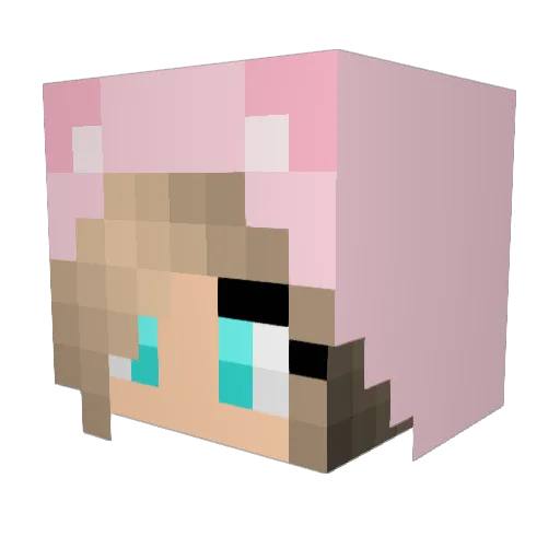 GAIA9111 Minecraft avatar head, 3D render
