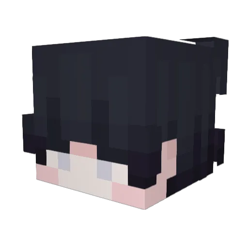 GAKAM1 Minecraft avatar head, 3D render