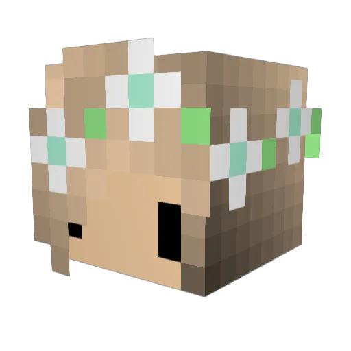 GAMERZZMARTIJN Minecraft avatar head, 3D render