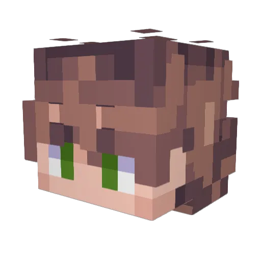 GAMES4LIFE__ Minecraft avatar head, 3D render