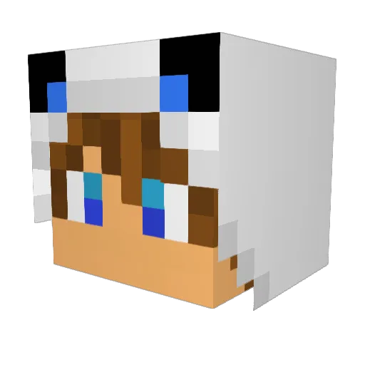 GAMR2005 Minecraft avatar head, 3D render