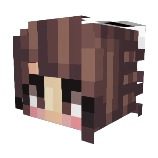 GANGMEMBERPABLO Minecraft avatar head, 3D render