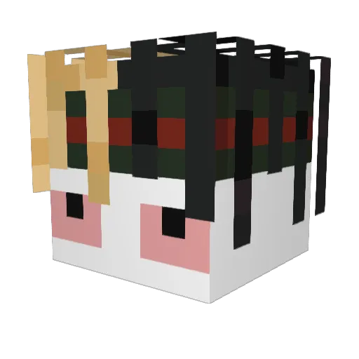 GANGMEMBERRASCAM Minecraft avatar head, 3D render