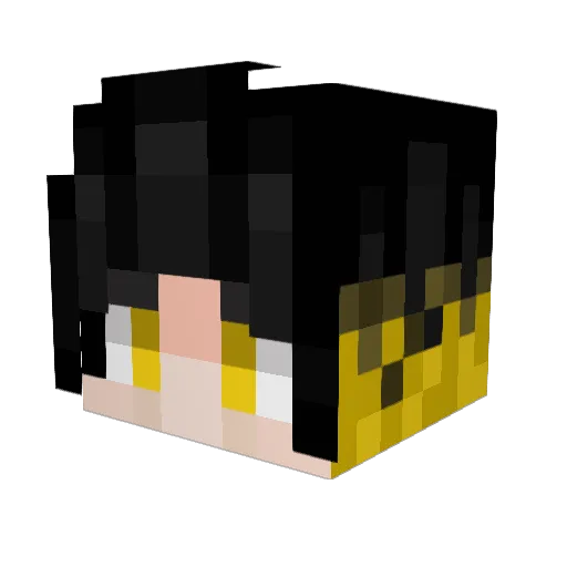 GAR3_B3AR Minecraft avatar head, 3D render
