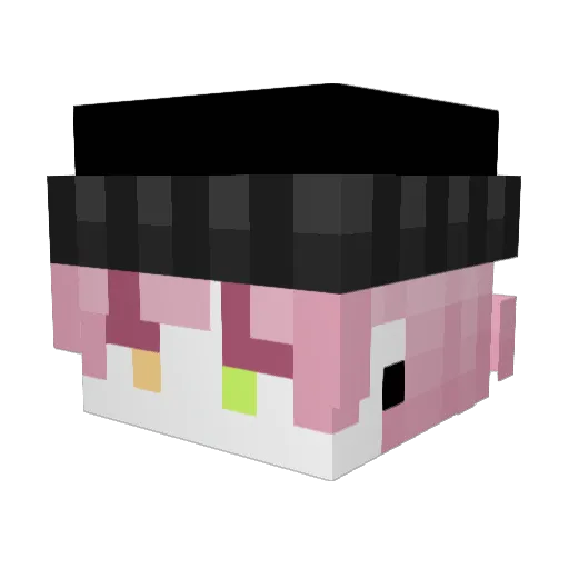 GASDRAWLS Minecraft avatar head, 3D render
