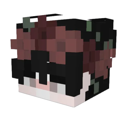 GAmEr575793 Minecraft avatar head, 3D render