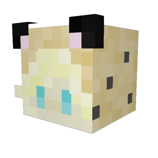 GDDuece55 Minecraft avatar head, 3D render