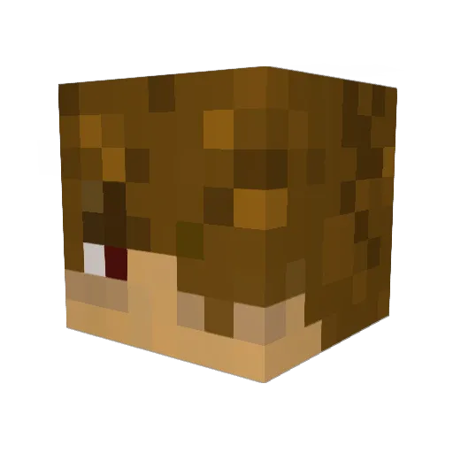 GEFAHR_ Minecraft avatar head, 3D render