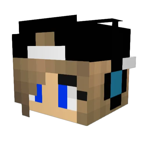 GEIGS9 Minecraft avatar head, 3D render