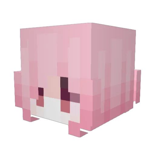 GENERALHECETA Minecraft avatar head, 3D render