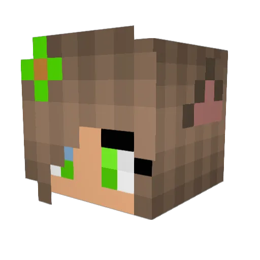 GETxAxLIFExNOOB Minecraft avatar head, 3D render