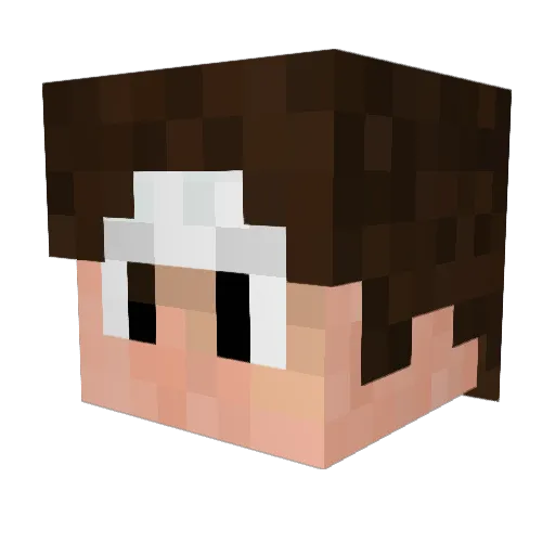 GFCF Minecraft avatar head, 3D render
