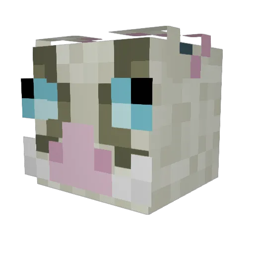 GGHyung Minecraft avatar head, 3D render