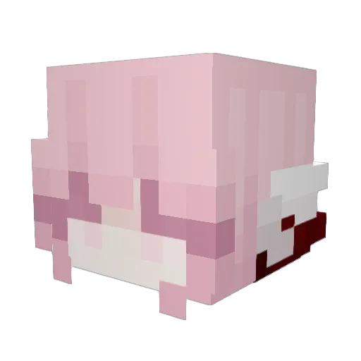 GGININ123456 Minecraft avatar head, 3D render