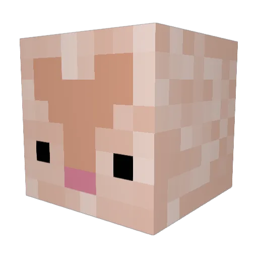 GGRoRo Minecraft avatar head, 3D render