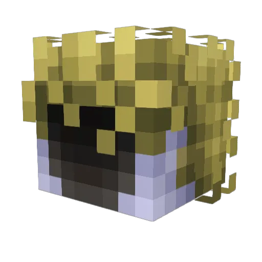 GGcrash5 Minecraft avatar head, 3D render