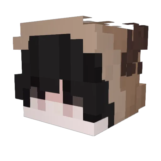 GIGASTEVEGAMING Minecraft avatar head, 3D render