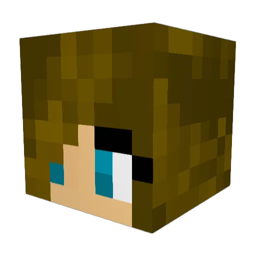 GIobeTrotter Minecraft avatar head, 3D render