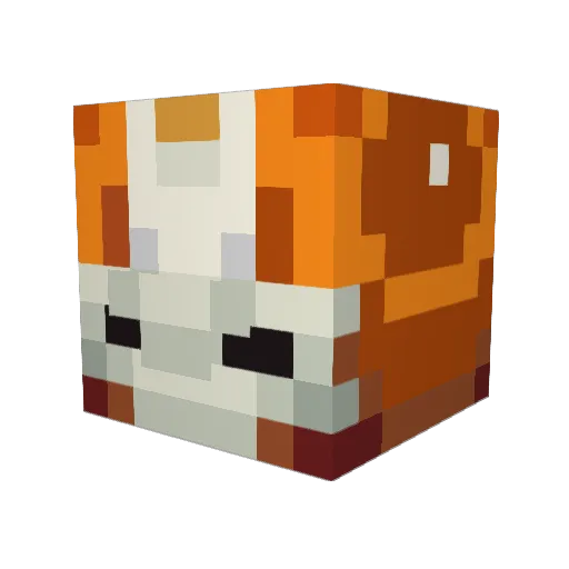 GLIDINGTOASTMAN Minecraft avatar head, 3D render