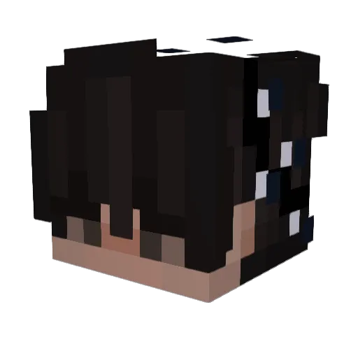 GLITTERBEARD619 Minecraft avatar head, 3D render