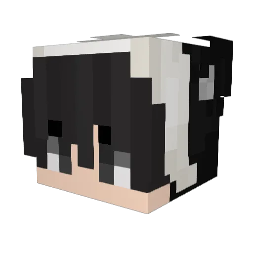 GLStephen Minecraft avatar head, 3D render
