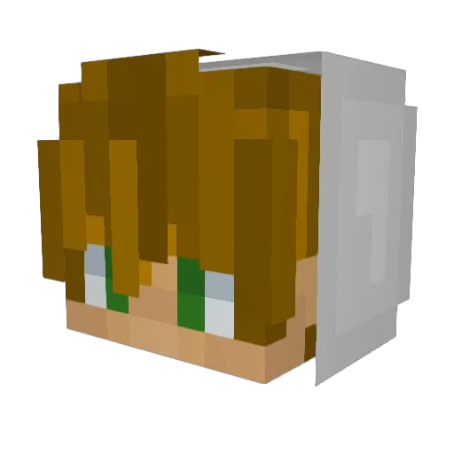 GL_TAKO Minecraft avatar head, 3D render