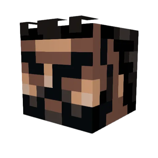 GMLenny Minecraft avatar head, 3D render