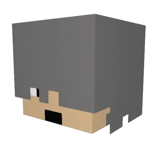 GMTyohan Minecraft avatar head, 3D render