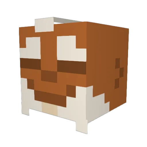 GNAFR Minecraft avatar head, 3D render