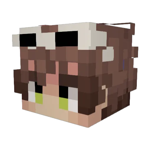 GODBLESSRIC Minecraft avatar head, 3D render