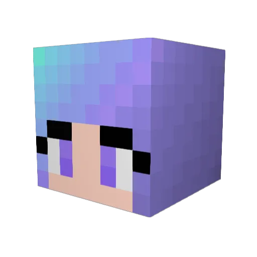 GOFLNN Minecraft avatar head, 3D render