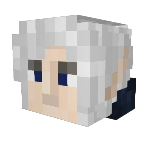 GOHOGWILD1 Minecraft avatar head, 3D render