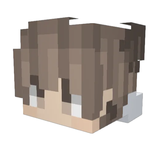 GOMBAL8192 Minecraft avatar head, 3D render